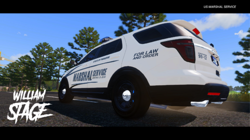US MARSHAL SERVICE