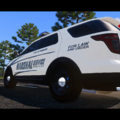 US MARSHAL SERVICE