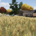 Friesehborn  w.i.p