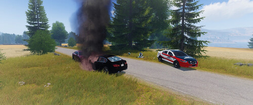 EMS (Unfall)